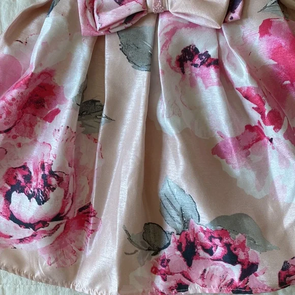 Sweet Heart Rose Floral Pink Sleeveless Dress Size 24 Months - Picture 6 of 11